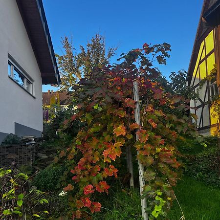 Kleine Auszeit - Ferienwohnung Heideberg - "Rhein" In Den Urlaub Бахарах Экстерьер фото